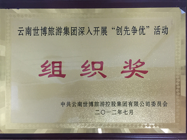 20-創(chuàng)先爭優(yōu)活動(dòng)組織獎(jiǎng) 副本